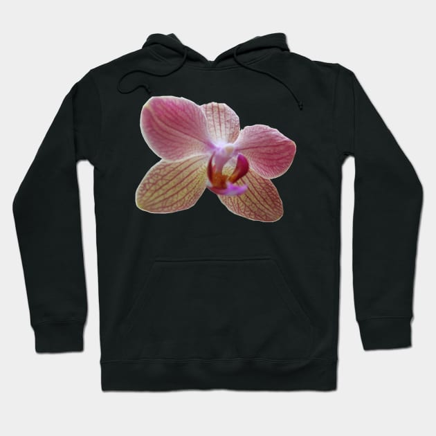 Rose Orchid Hoodie by k-creatif